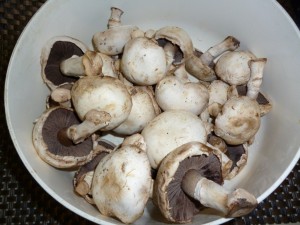 mushrooms - Mushroom Lasagna